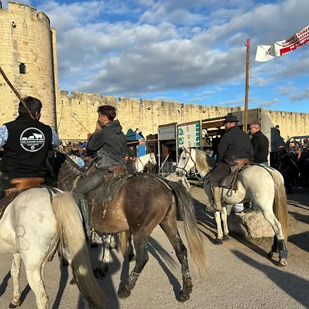 Hébergement de vacances La Fleur D'oranger Aigues-Mortes