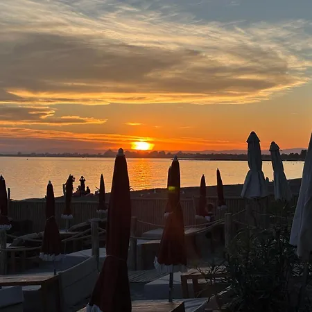 La Fleur D'oranger *