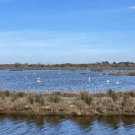 Hébergement de vacances La Fleur D'oranger